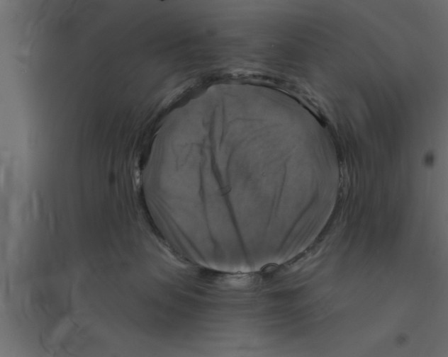 X0000094210479200711241704