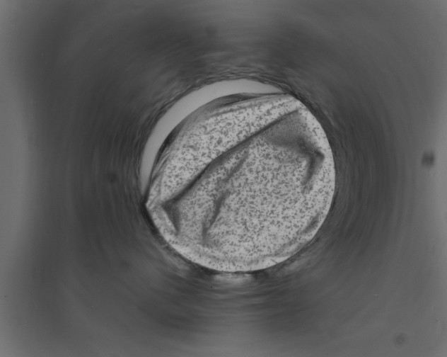X0000094210480200711241704