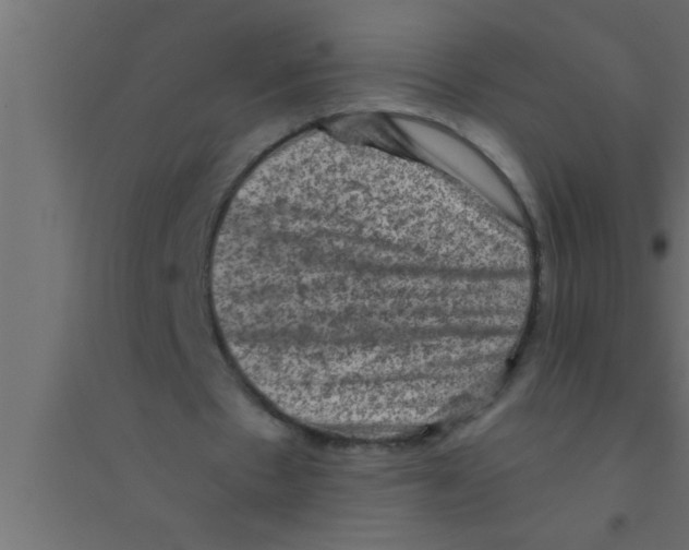 X0000094210481200711241703