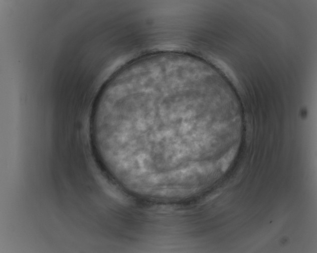 X0000094210482200711241703