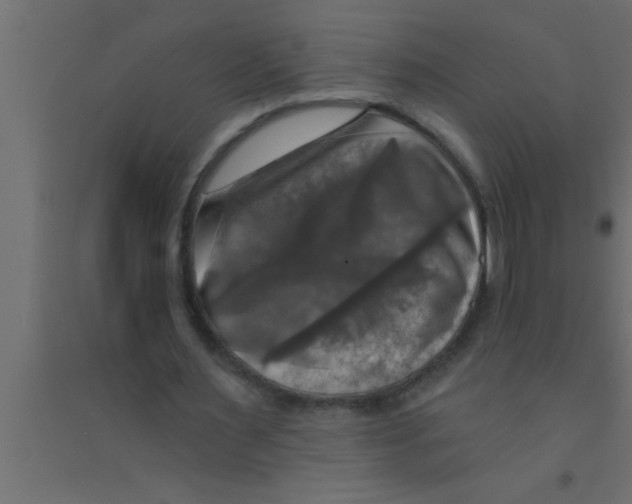 X0000094210483200711241703