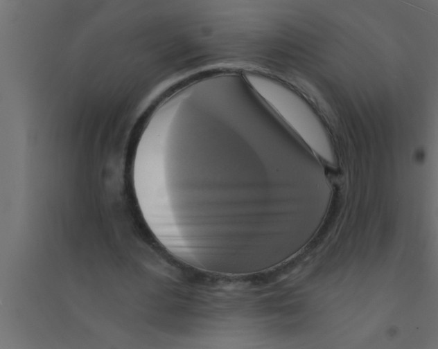 X0000094210484200711241703