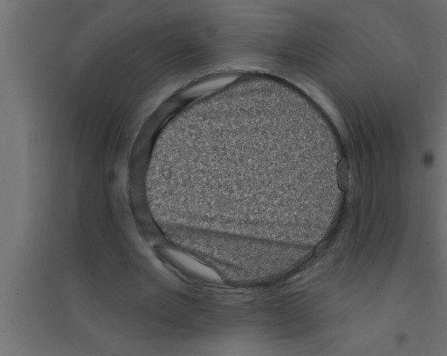 X0000094210485200711241703