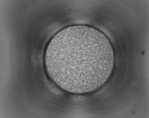 X0000094210486200711241703