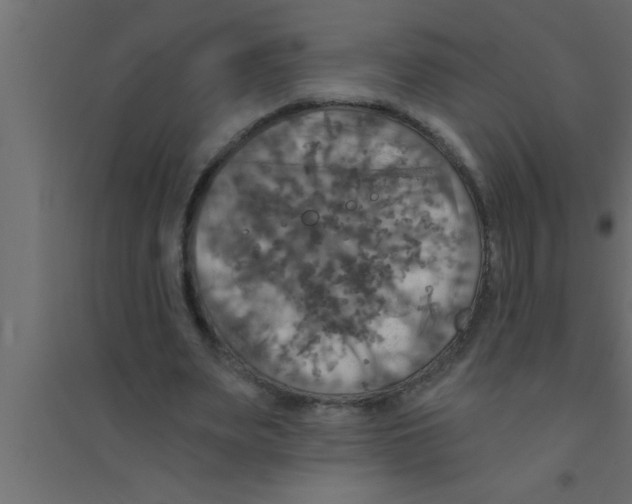 X0000094210487200711241703
