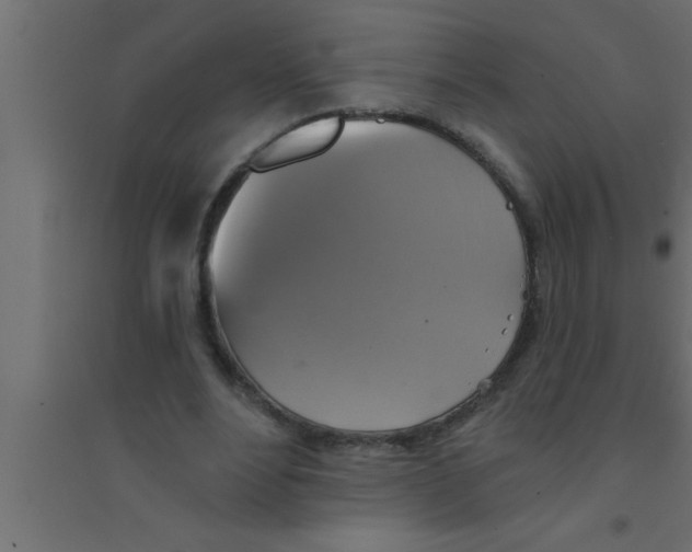 X0000094210488200711241703