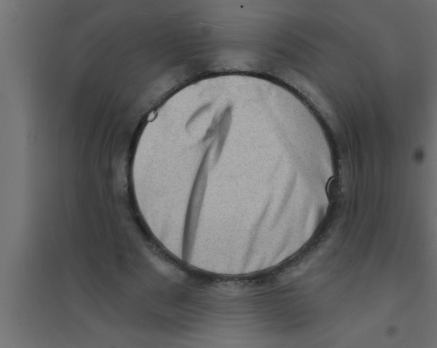 X0000094210489200711241703