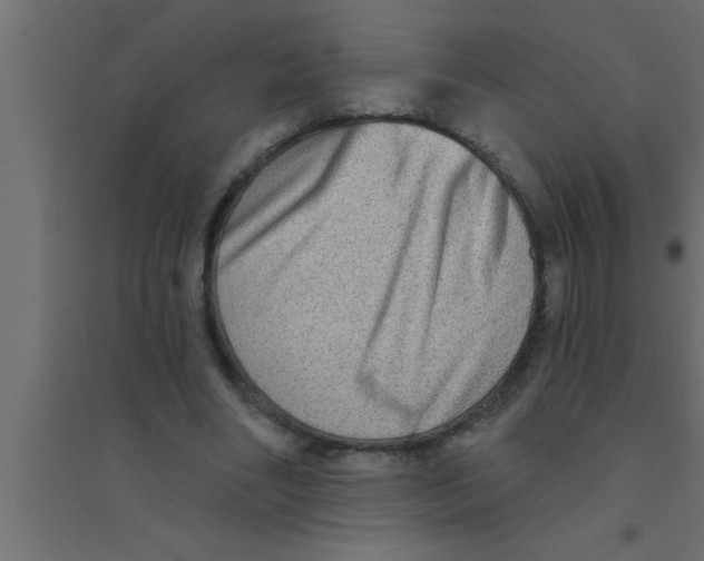 X0000094210490200711241703