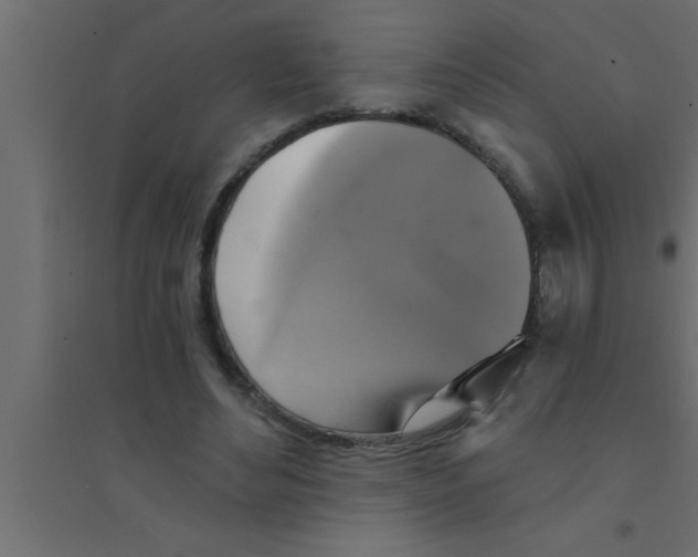 X0000094210492200711241703