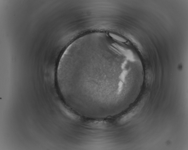 X0000094210493200711241703