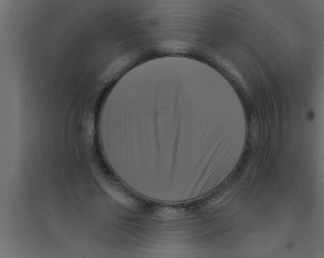 X0000094210494200711241703