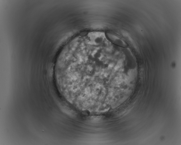 X0000094210495200711241703