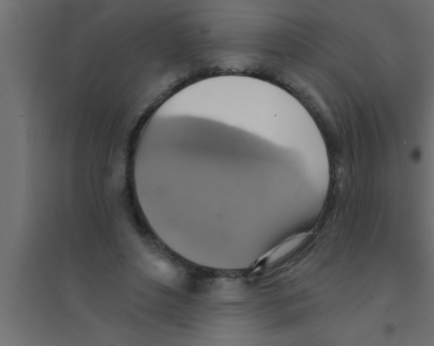 X0000094210496200711241703