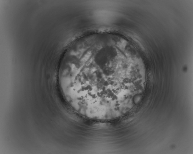 X0000094210499200711241703