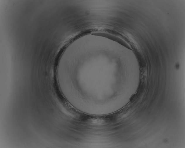 X0000094210500200711241703