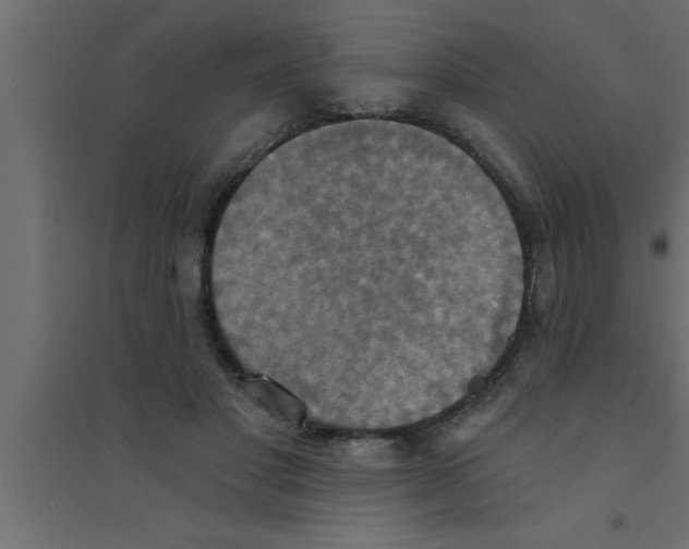 X0000094210501200711241703