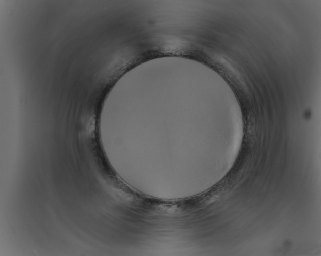 X0000094210502200711241703