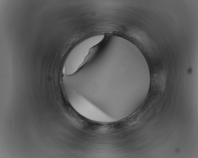 X0000094210504200711241703