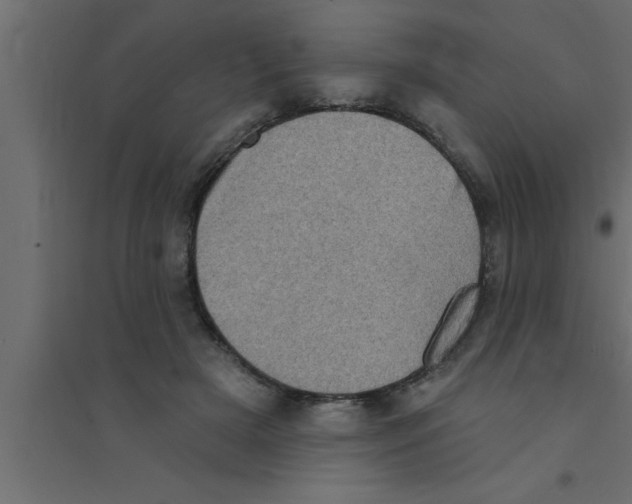X0000094210505200711241703