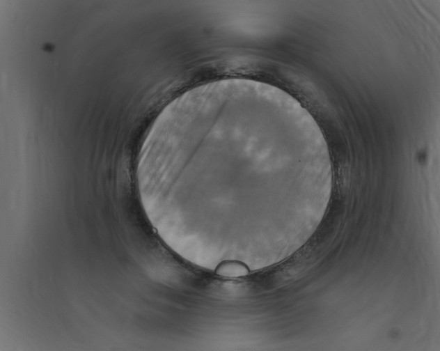 X0000094210506200711241703