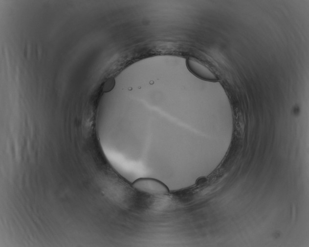 X0000094210507200711241703