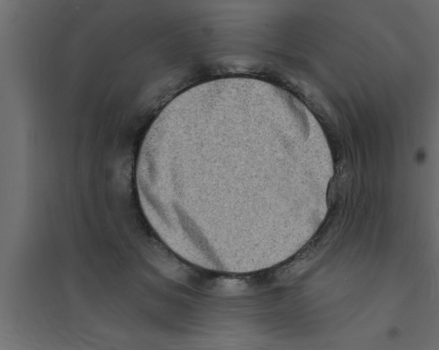X0000094210509200711241703