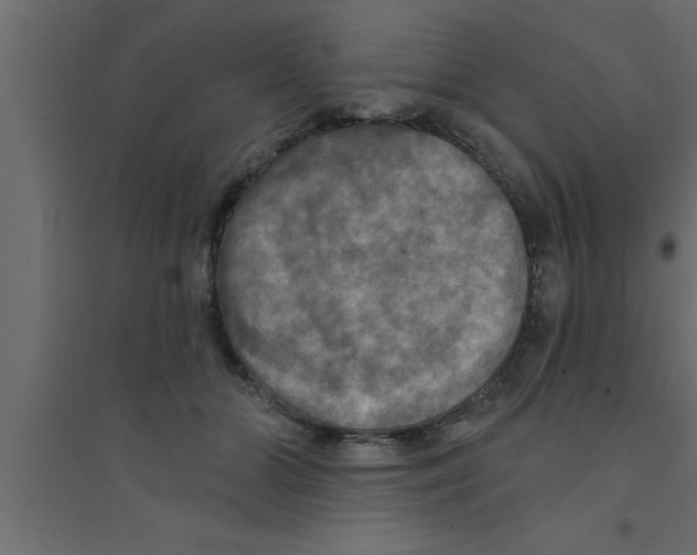 X0000094210510200711241703