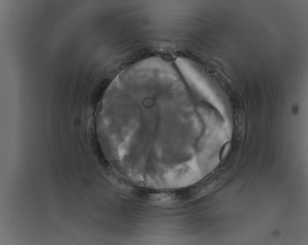 X0000094210511200711241703