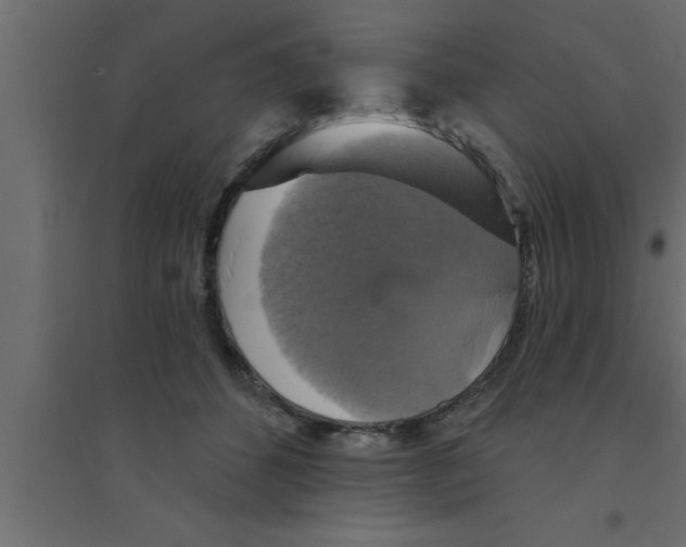 X0000094210512200711241703