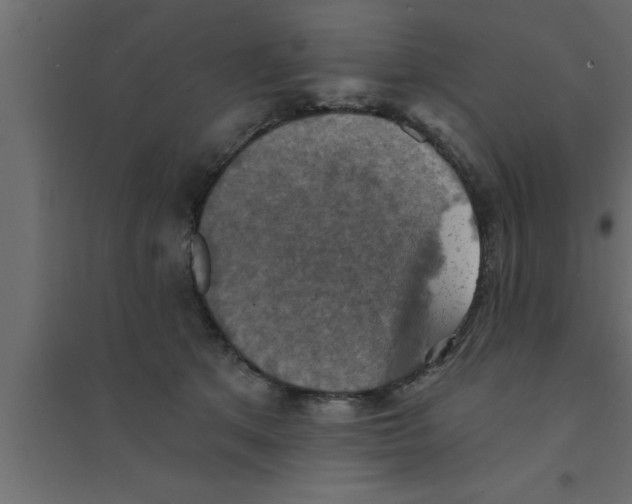 X0000094210513200711241703