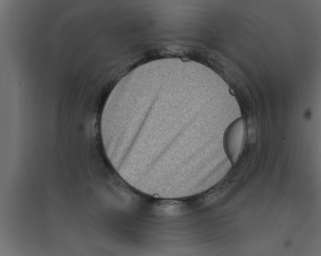 X0000094210514200711241703