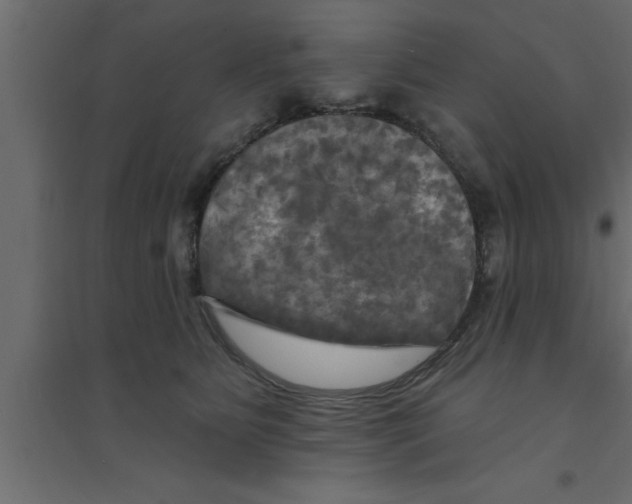 X0000094210515200711241703