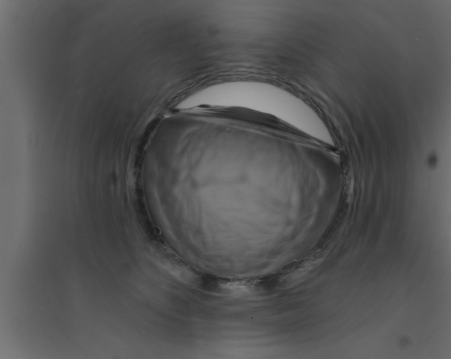 X0000094210516200711241703