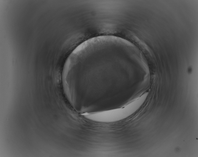 X0000094210517200711241703