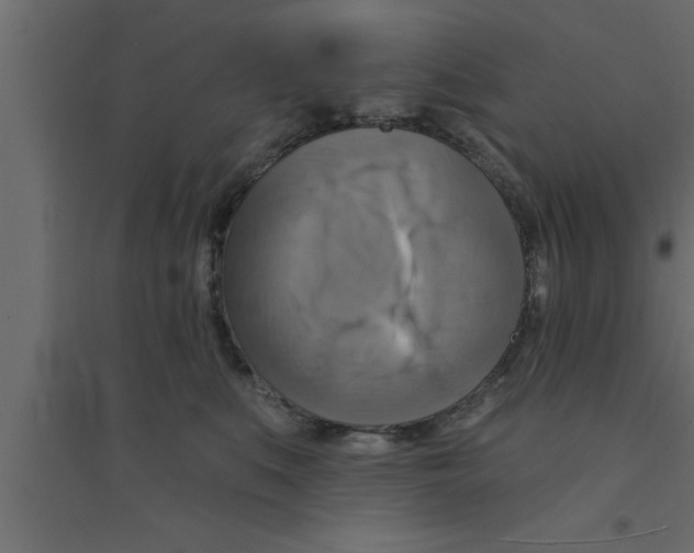 X0000094210519200711241702