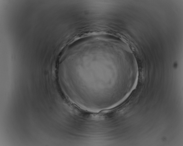 X0000094210520200711241702