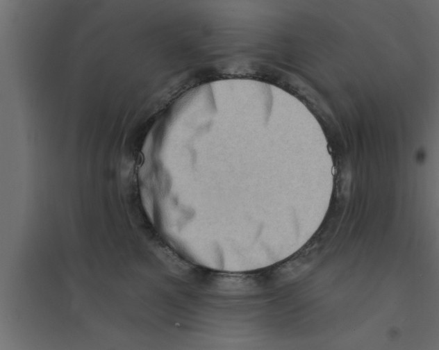 X0000094210521200711241702