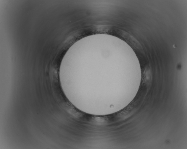 X0000094210522200711241702
