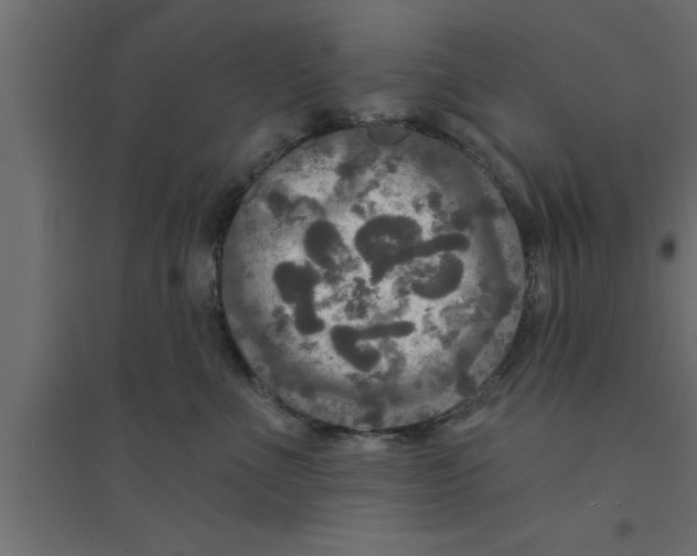 X0000094210523200711241702