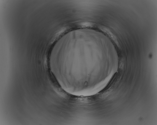 X0000094210524200711241702