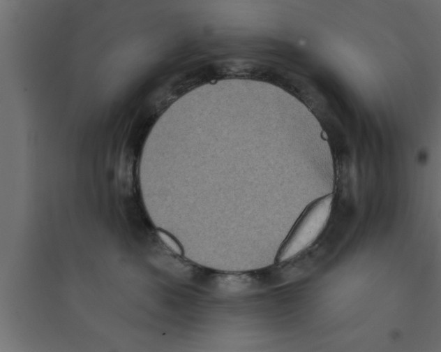 X0000094210525200711241702