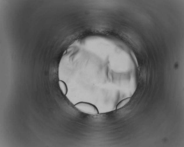 X0000094210526200711241702