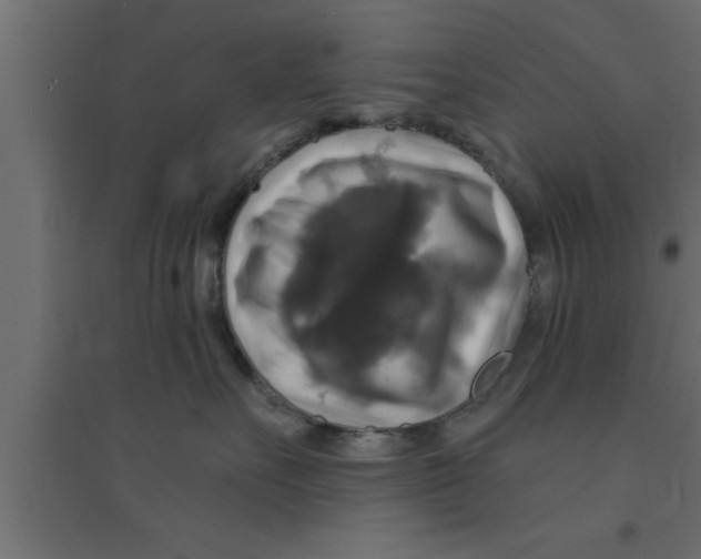 X0000094210527200711241702