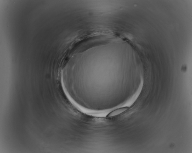X0000094210528200711241702