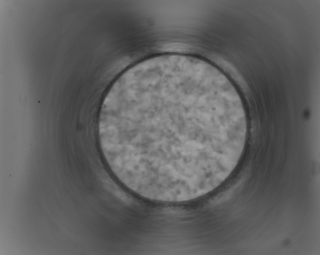 X0000094210529200711241702