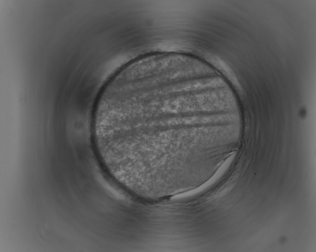 X0000094210530200711241702