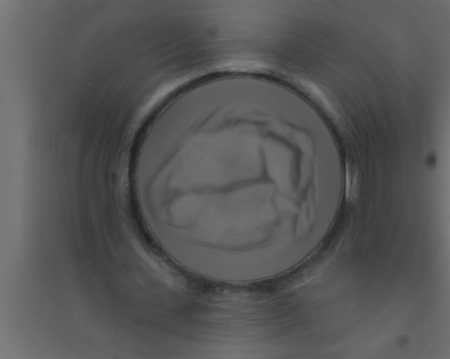 X0000094210531200711241702
