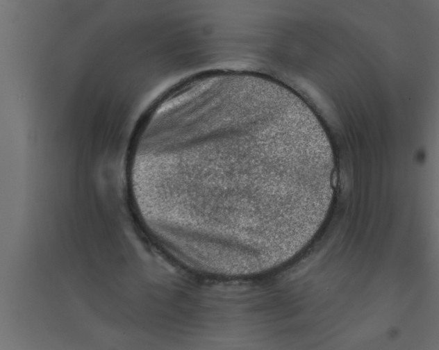 X0000094210532200711241702