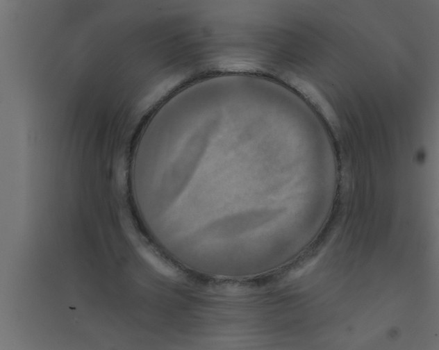 X0000094210533200711241702