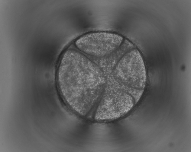 X0000094210534200711241702